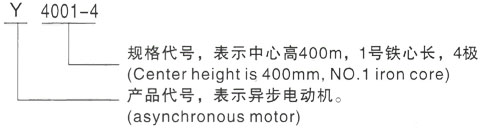 西安泰富西玛Y系列(H355-1000)高压YJTG-132S-8A/2.2KW三相异步电机型号说明