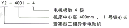 YR系列(H355-1000)高压YJTG-132S-8A/2.2KW三相异步电机西安西玛电机型号说明